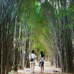 Hutan Bambu Keputih & Taman Sakura